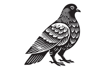 Pigeon Silhouette