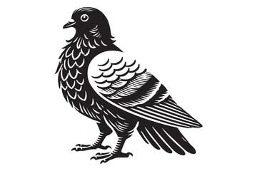 Pigeon Silhouette