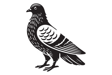 Pigeon Silhouette