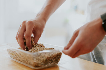 A young man plants wheat seeds in a container.