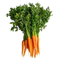 Freshly Harvested Carrots with Green Tops