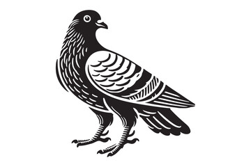 Pigeon Silhouette