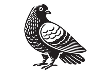 Pigeon Silhouette
