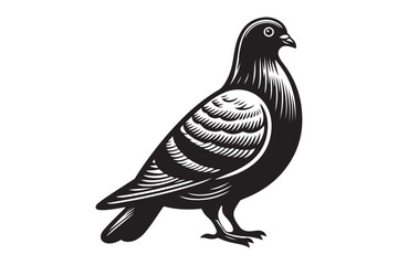Pigeon Silhouette