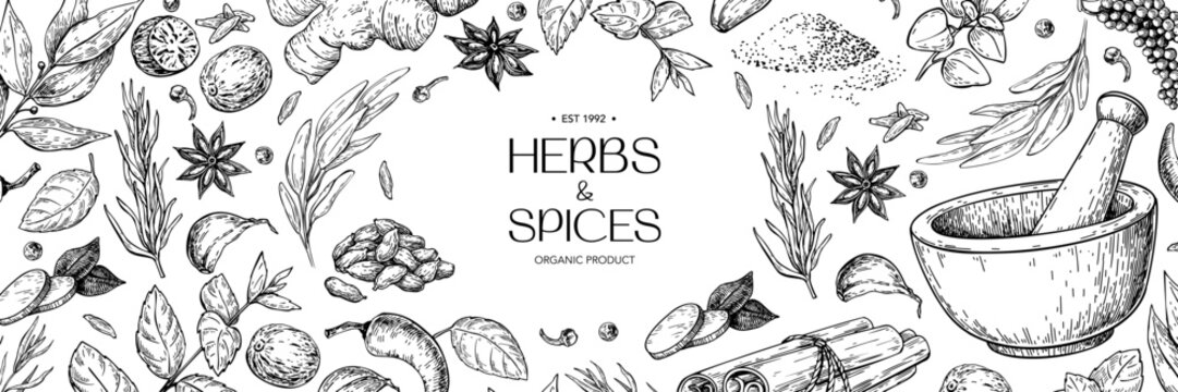 Herbs and spice label template. Vector drawing with mortar and pestle. Engraved style flavor and condiments