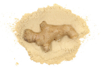 Ginger root and powder isolated on white, top view