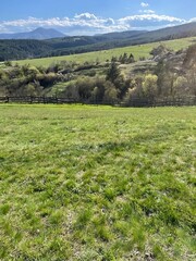 A bright, sunny meadow bordered by wooden fences, with rolling hills and dense forests in the background under a clear blue sky
