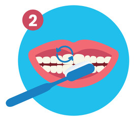 Second Step of How to Brush Your Teeth Step by Step Instruction Flat Illustration