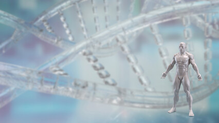 The Human anatomy for medical or education concept 3d rendering.