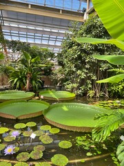 Hortus Botanicus Leiden