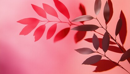 Fototapeta premium Vibrant Red And Pink Summer With Tropical Palm Shadow: Trendy Pastel Paper And Exotic Plant Layout With Leaf Silhouette Overlay