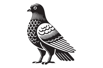Pigeon Silhouette