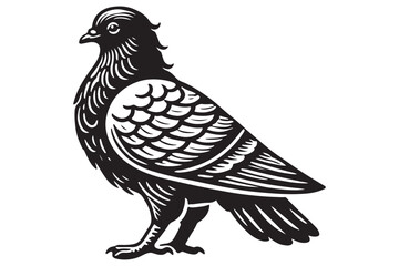 Pigeon Silhouette