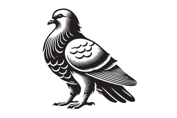 Pigeon Silhouette