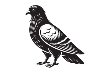 Pigeon Silhouette