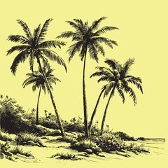 hawai