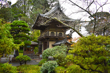 Japanese Tea Garden in San Francisco