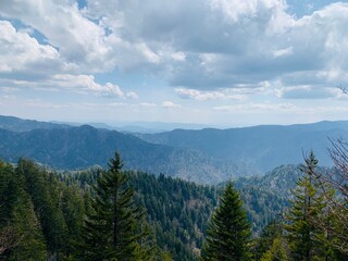 Fototapeta premium Smoky Mountains