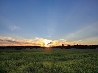 beautiful clouds, a field of green grass in a foggy haze, and a forest in a valley, against the backdrop of the blue sky and the rising sun on an early summer morning