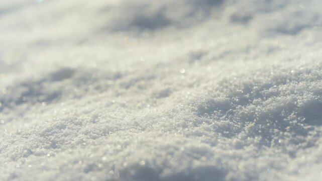 Snow weather on a sunny winter day .Shinny Snow in the sunny day on the field close up view at sunny winter. 