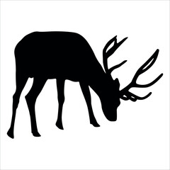 Animal Deer Jumping and running Vector illustration