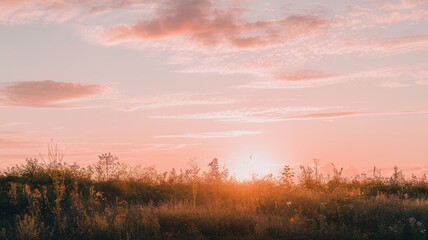 Obraz premium A serene sunset over a tranquil field, with soft pink and orange hues illuminating the sky, highlighting the natural beauty of the landscape.