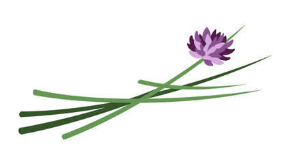 Chives Illustration Colored Simplified Isolated Vector Art