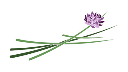 Fototapeta premium Chives Illustration Colored with Outlined Stroke Isolated Vector Art