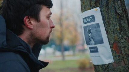 Man walking in park saw message on tree about missing dog, takes photo on his phone to remember and call if he sees missing dog. Male makes photo of a lost dog posting in a tree post in the park. 