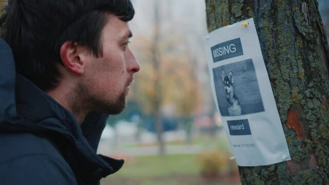 Man walking in park saw message on tree about missing dog, takes photo on his phone to remember and call if he sees missing dog. Male makes photo of a lost dog posting in a tree post in the park. 