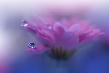 Beautiful Macro Photo.Colorful Flowers.Border Art Design.Magic Light.Close up Photography.Conceptual Abstract Image.Pink and Blue Background.Fantasy Floral Art.Creative Wallpaper.Beautiful Nature.