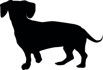Black Animal Dog Silhouettes Vector illustration
