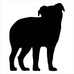 Black Animal Dog Silhouettes Vector illustration