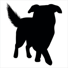 Black Animal Dog Silhouettes Vector illustration