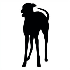 Black Animal Dog Silhouettes Vector illustration