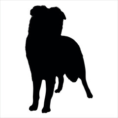 Black Animal Dog Silhouettes Vector illustration