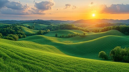 Serene Sunset over Rolling Green Hills