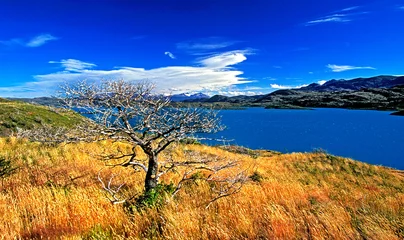  Parque Nacional Torres del Paine no Chile. © EMANUEL