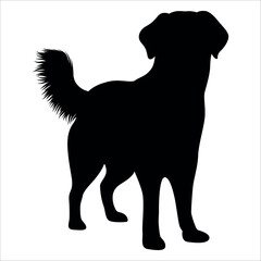 Black Animal Dog Silhouettes Vector illustration
