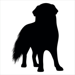 Black Animal Dog Silhouettes Vector illustration