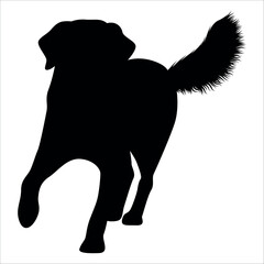 Black Animal Dog Silhouettes Vector illustration