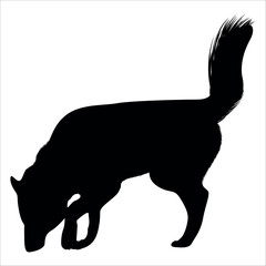 Black Animal Dog Silhouettes Vector illustration