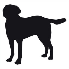 Black Animal Dog Silhouettes Vector illustration