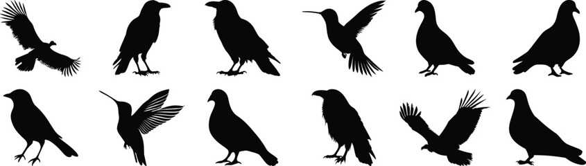 Bird silhouette set vector design big pack of animal illustration and icon