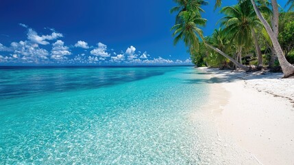 Fototapeta premium Tropical beach paradise turquoise water, white sand, palm trees, sunny sky. Ideal for travel brochures (1)