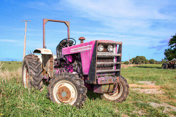 Pink agricultural tractor outside on the farm in a rural area.