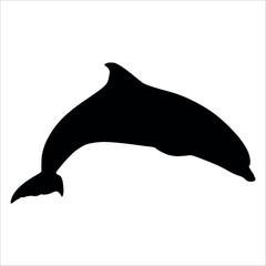 Black Animal Dolphin Vector illustration