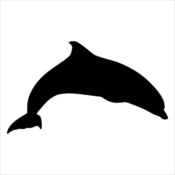 Black Animal Dolphin Vector illustration
