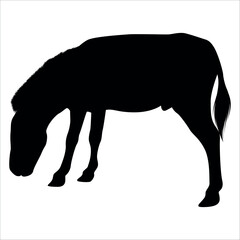 Animal Donkey Silhouette Vector illustration