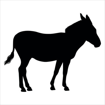 Animal Donkey Silhouette Vector illustration